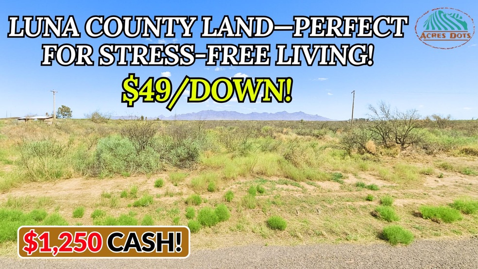 Sunshine Lun unit a New Mexico, Sunshine, NM 88030 - photo 1