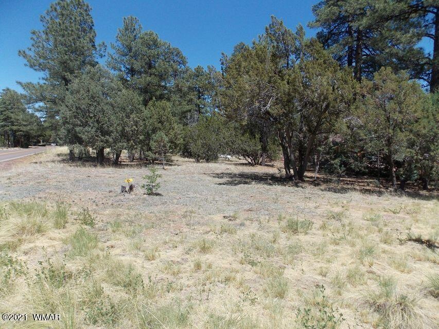 2859 Pine Rim (2)