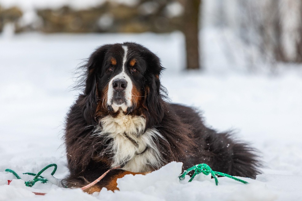 1 Stratton Springs Rd, Stratton, VT 05360 - photo 1