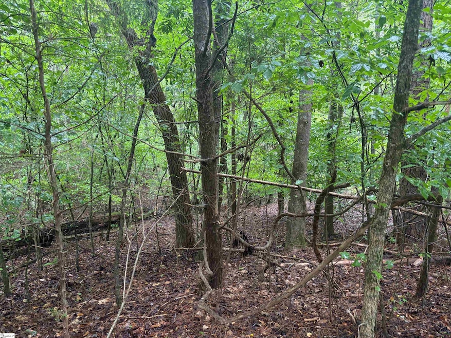 0 Lake Forest Dr unit 1540821, Abbeville, SC 29620 - photo 1