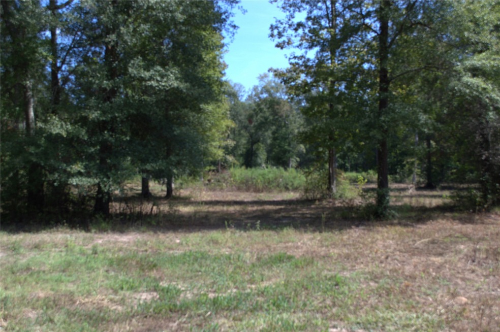 11393 Crossno Dr, Cleveland, TX 77328 - photo 1