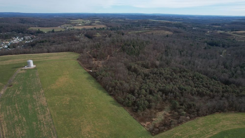 0 Knob Farm Rd Lot unit WP001, Grampian, PA 16838 - photo 1