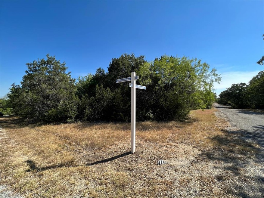 44198 Clearview Dr & Fringewood Dr, Whitney, TX 76692 - photo 1