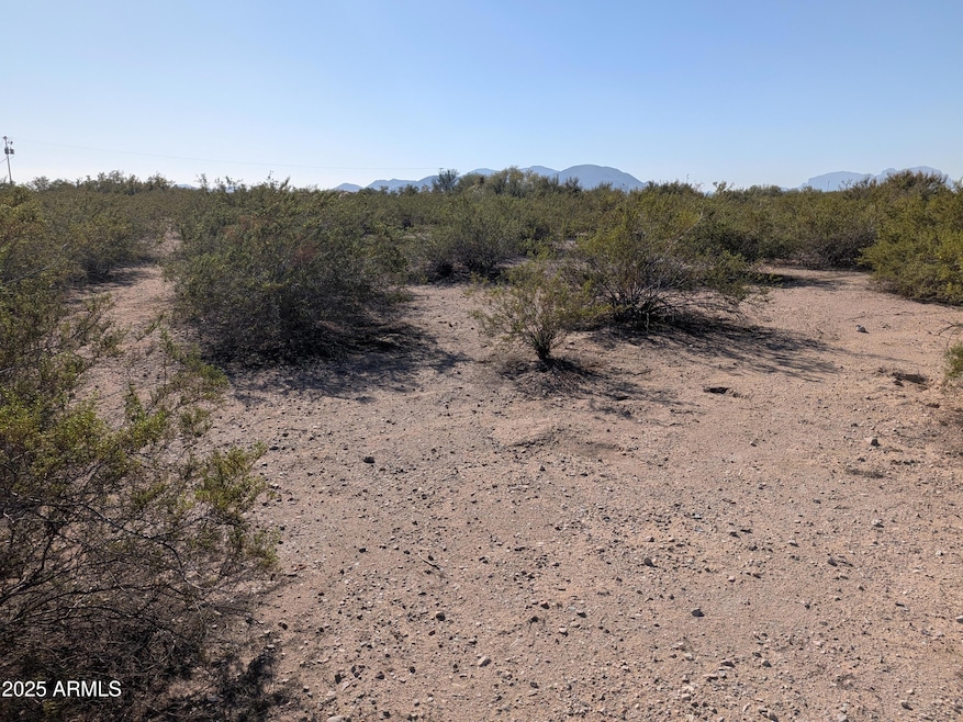 39143 W Catalina Dr unit 1164, West Phoenix Estates, AZ 85354 - photo 1