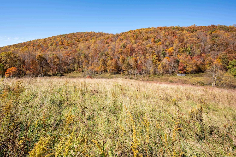 971 Phadettia Rd SW, Willis, VA 24380 - photo 1