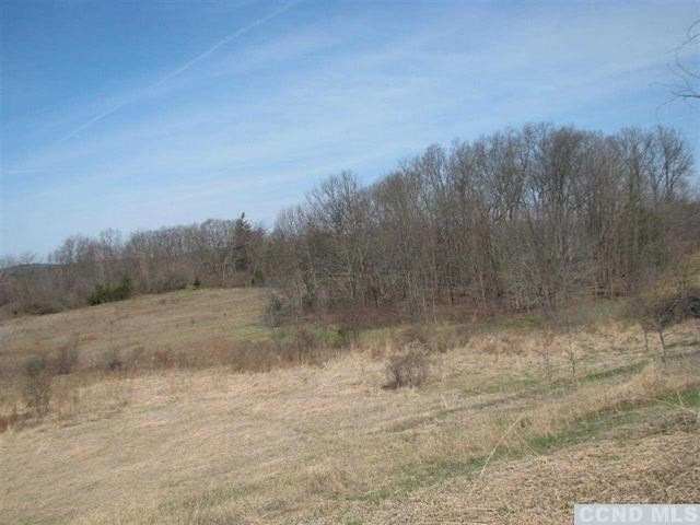 0 Howard Hall Rd unit 99023, Athens, NY 12015 - photo 1