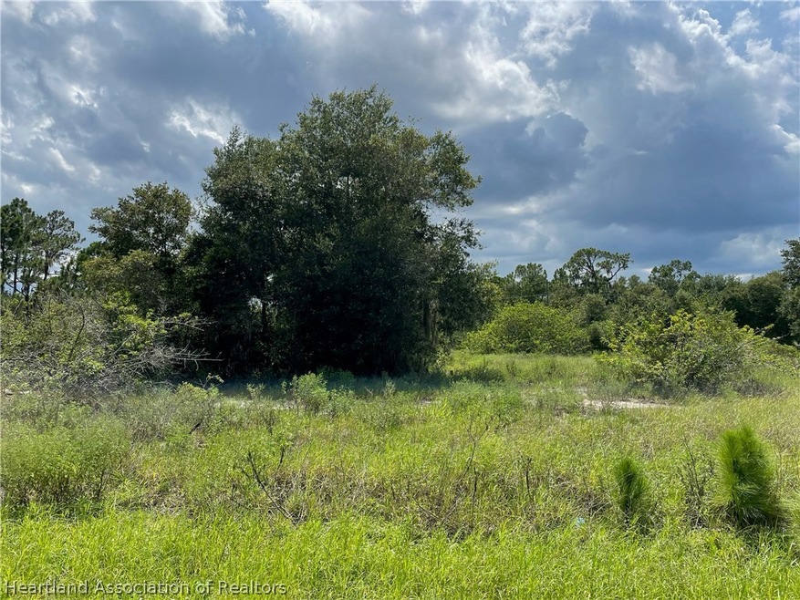 652 Stargazer Dr, Lake Placid, FL 33852 - photo 1