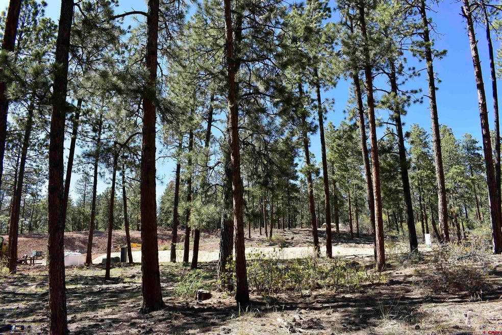 733 Red Canyon Trail, Durango, CO 81301 - photo 1