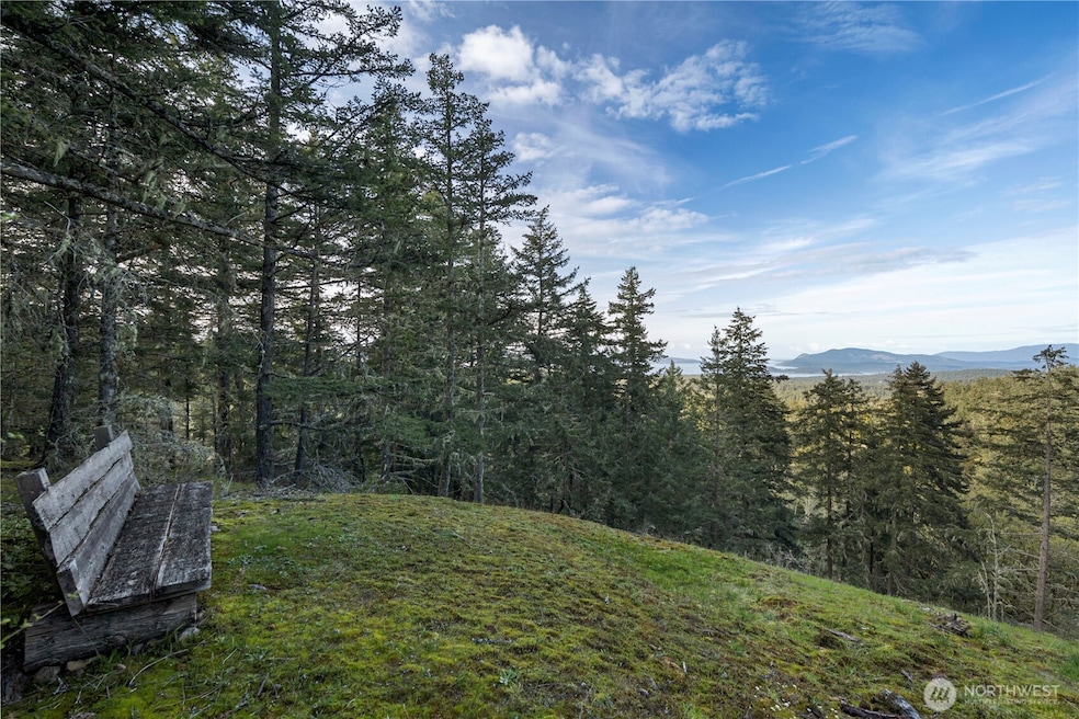 0 Cady Mountain Rd unit NWM2359002, San Juan Island, WA 98250 - photo 1