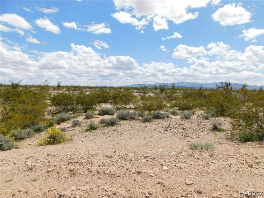 000 Chemehev Rd, Yucca, AZ 86438 - photo 1