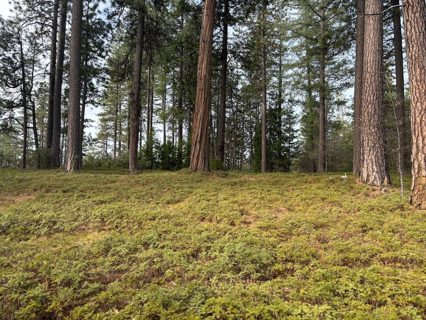 164 Vireo Way, Arnold, CA 95223 - photo 1