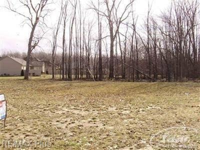0 Horseshoe Dr unit 213105343, Davison, MI 48423 - photo 1