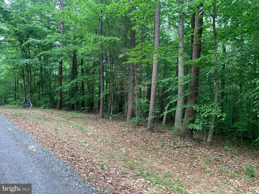 Lot 3 Red Feather Way, Orange, VA 22960 - photo 1