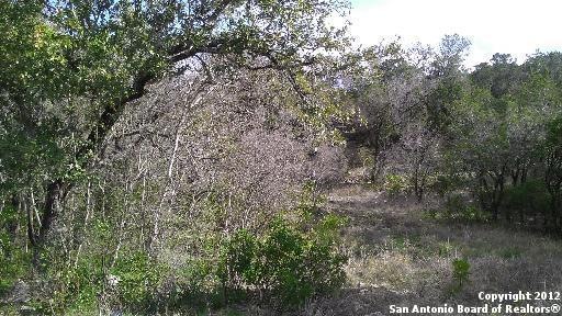 17143 Clovis, Helotes, TX 78023 - photo 1