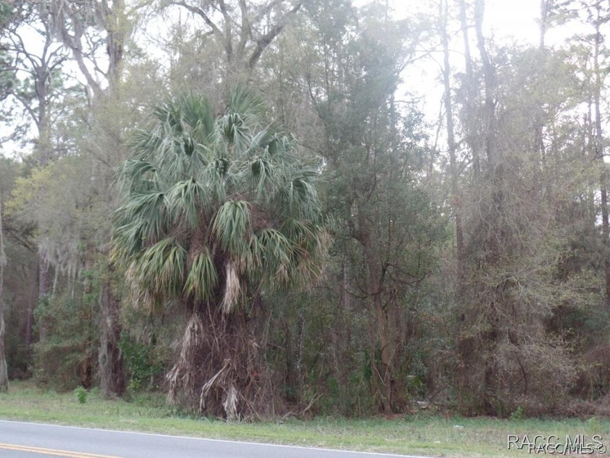 653 S. Apopka Ave