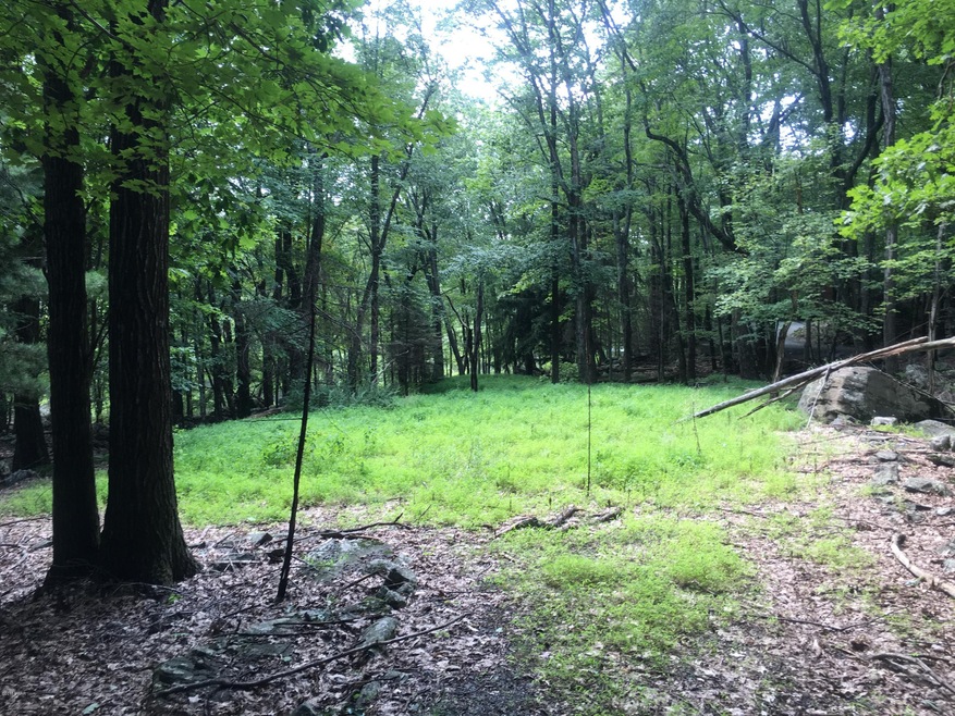 114 Saddle Brook Ln, Blooming Grove Township, PA 18428 - photo 1