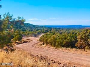 20220107072810175889000000