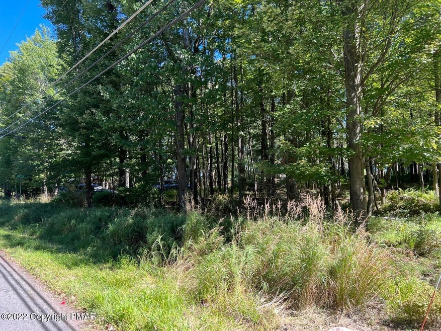 0 Lake Shore Dr 1 Land Lot unit PM-100783, Pocono Lake, PA 18347 - photo 1