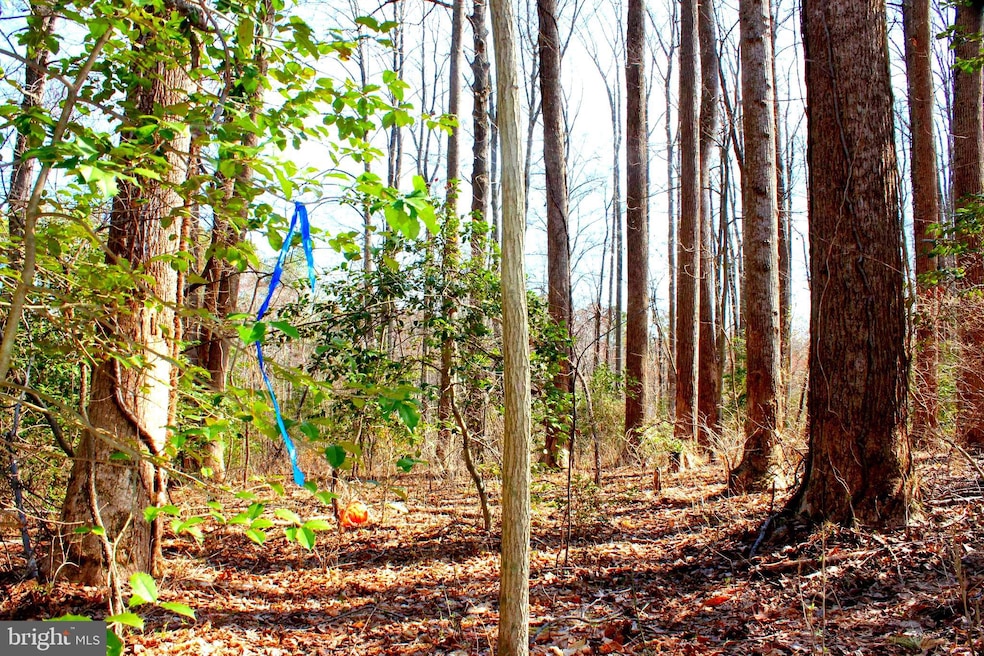 0 Scott Cir unit MDSM2027260, Mechanicsville, MD 20659 - photo 1