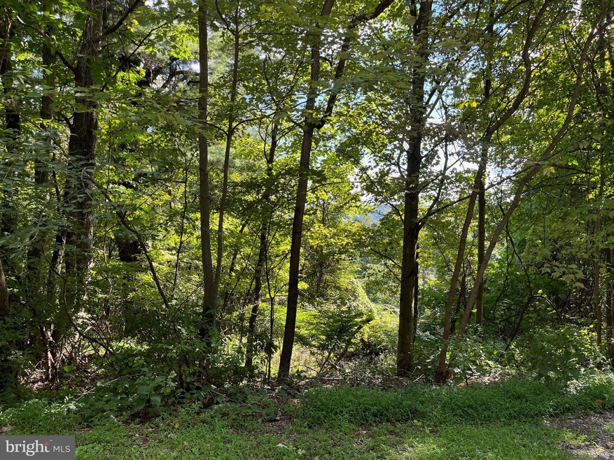 Lots 68 & 70 Evergreen Dr, Tamaqua, PA 18252 - photo 1