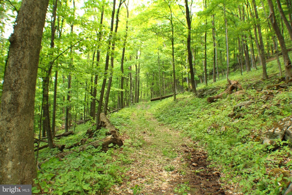 81.53 AC Dolly Sods-Forest Service Rd 19, Cabins, WV 26855 - photo 1
