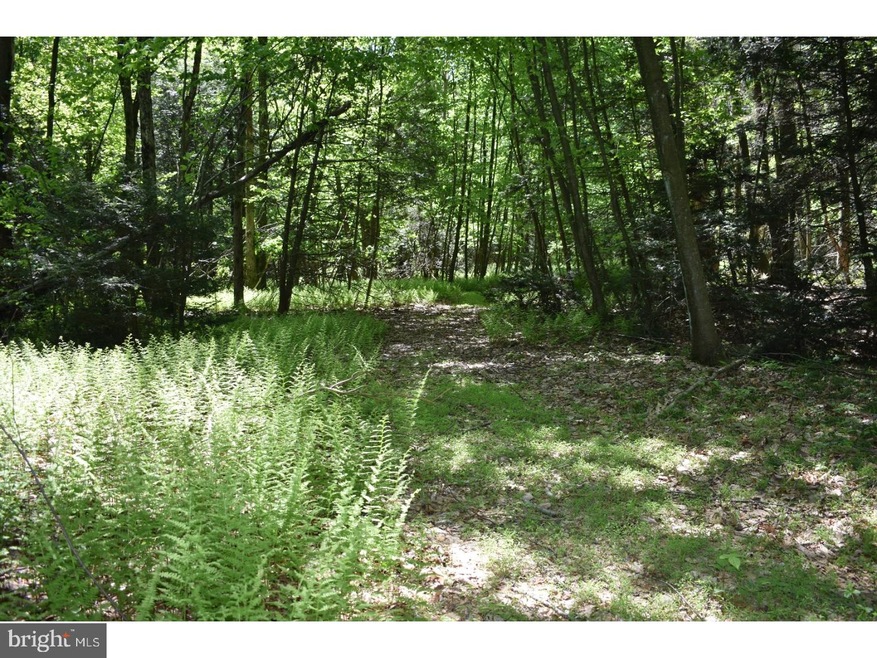 0 Summer Mountain Rd unit 1001713262, New Ringgold, PA 17960 - photo 1