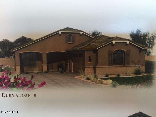 Tamarisk Front