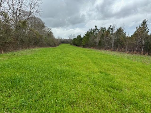 43443 Jackson Brumfield Rd, Franklinton, LA 70438 - photo 1