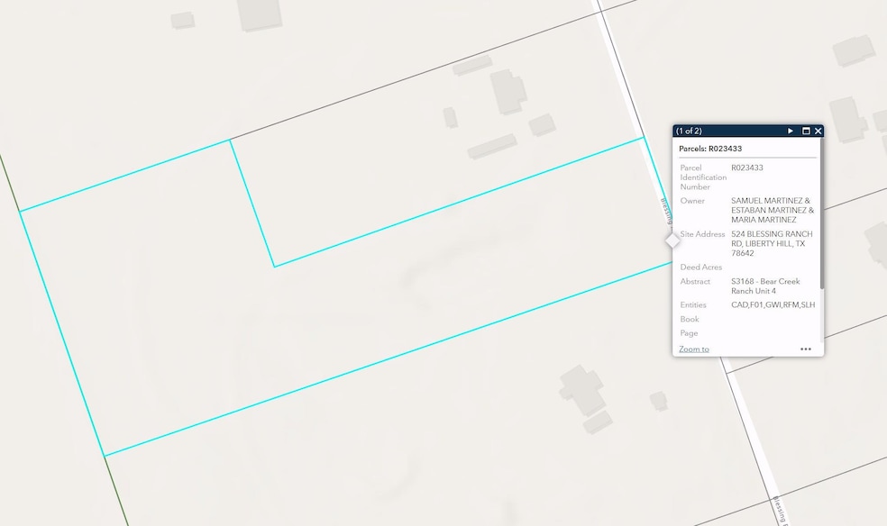 524 Blessing Ranch Rd, Liberty Hill, TX 78642 - photo 1