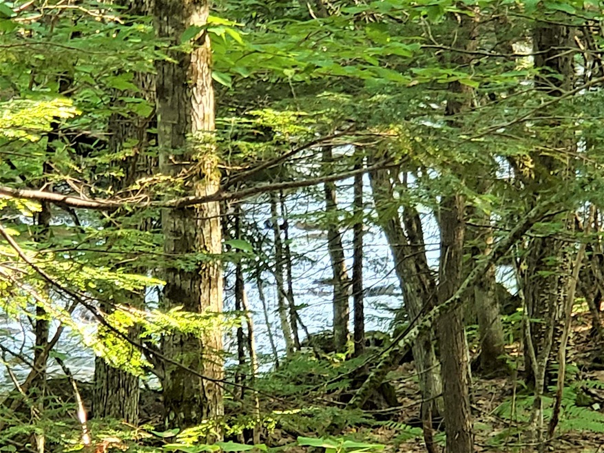 365 & 370 Pine Hill Rd, Ossipee, NH 03814 - photo 1