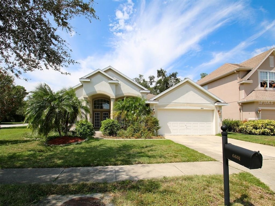 6601 Bluff Meadow Ct, Wesley Chapel, FL 33545 - photo 1