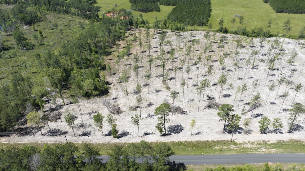 0 Paul McMilian Road (Tract 7) unit 2-5629, Deridder, LA 70634 - photo 1