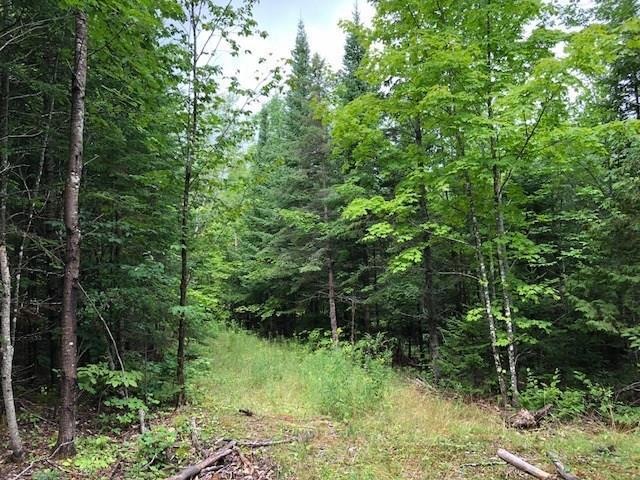 10.1 Acres to explore