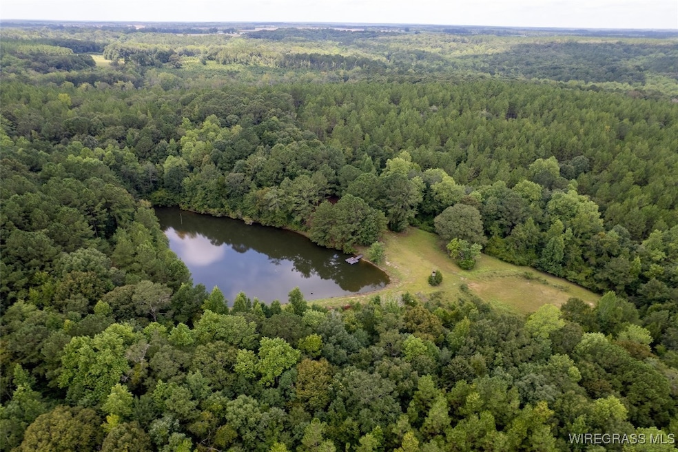 927 Highway 166, Elba, AL 36323 - photo 1