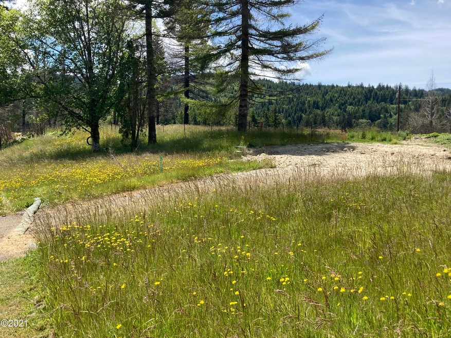 homesite and driveway