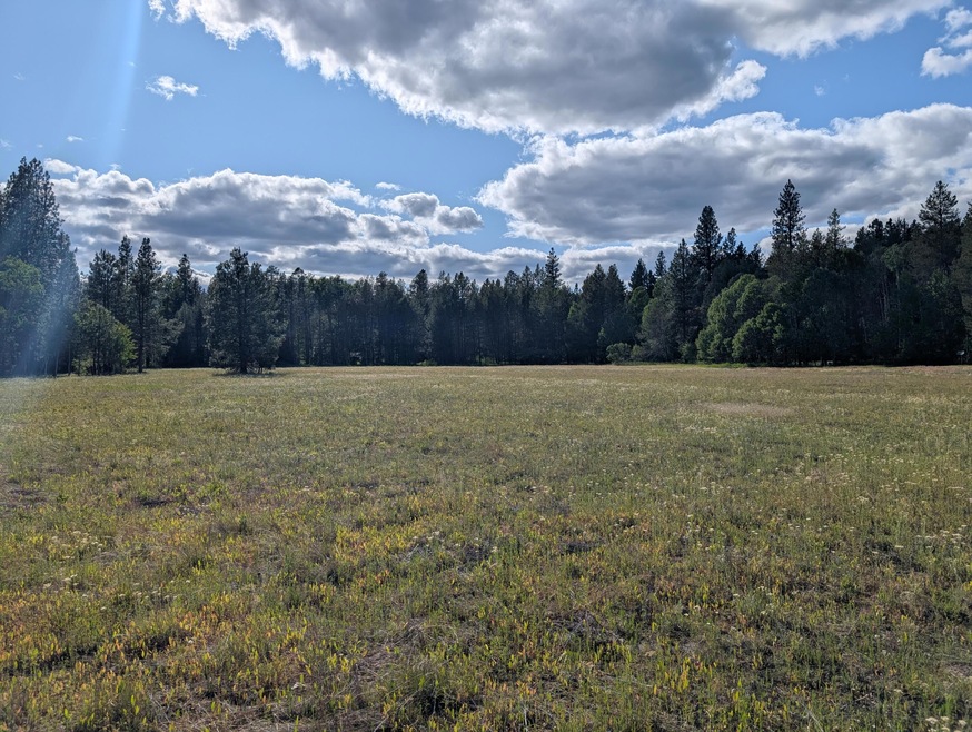 PXL_20250623_002023382