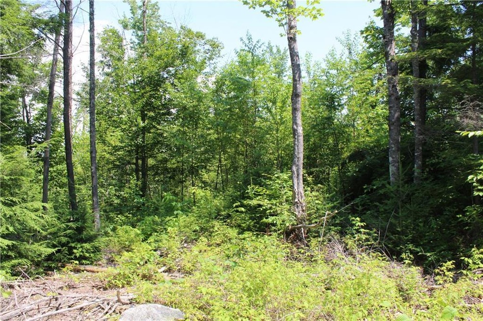 Level lot with healthy young trees.
