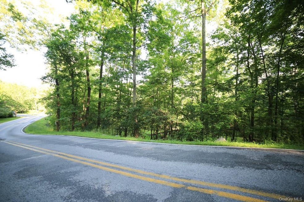 0 Benjamin Meadow Rd unit H6158962, Tuxedo, NY 10987 - photo 1