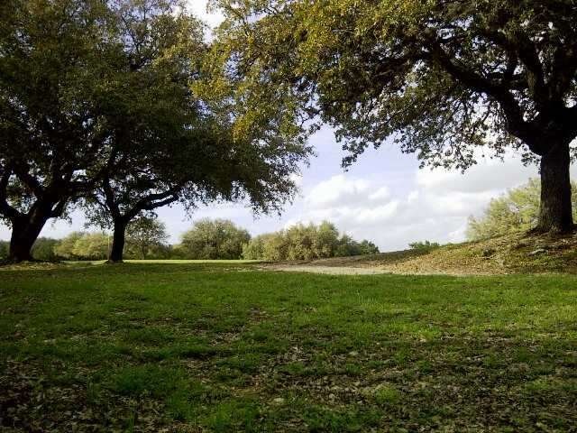 View : Gorgeous Golf Course and Hill Country Views