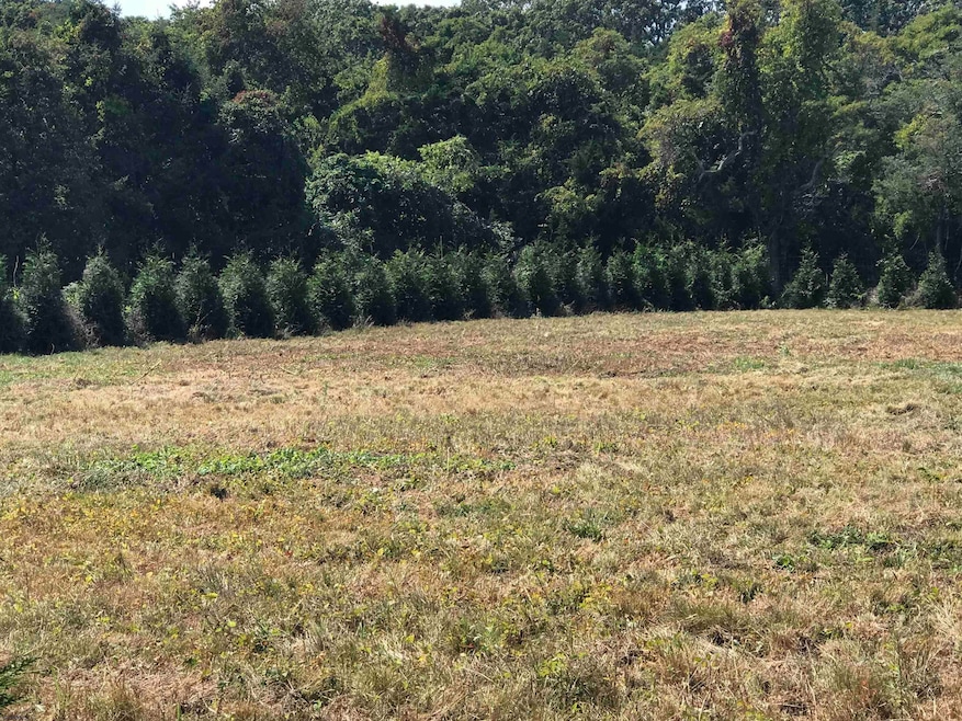 808 E Moss Mill Rd, Galloway, NJ 08205 - photo 1