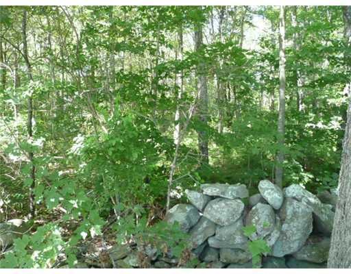 Land/Lot.