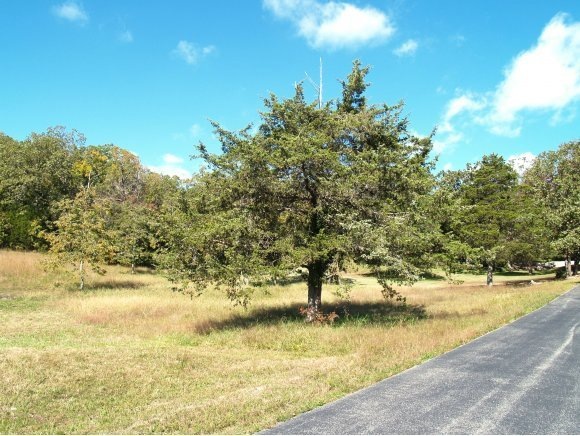 0 Water Wheel Ln, Ruth B Rural Township, MO 65686 - photo 1