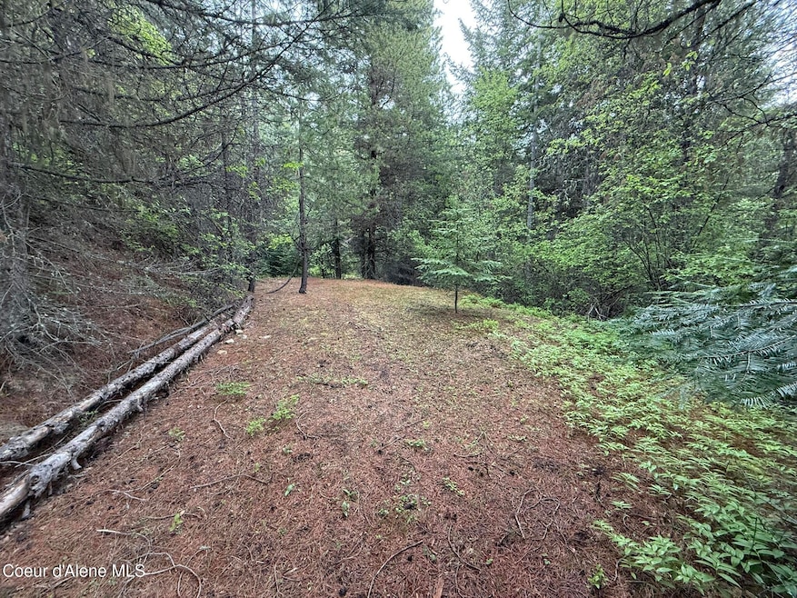 Camp Site 2