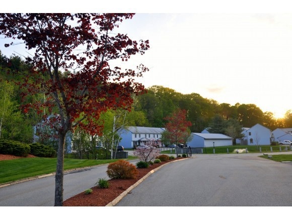 18 Birchwood Dr unit 18, Milford, NH 03055 - photo 1