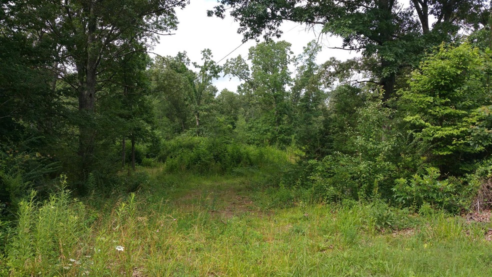 367 Stump St, Manchester, TN 37355 - photo 1