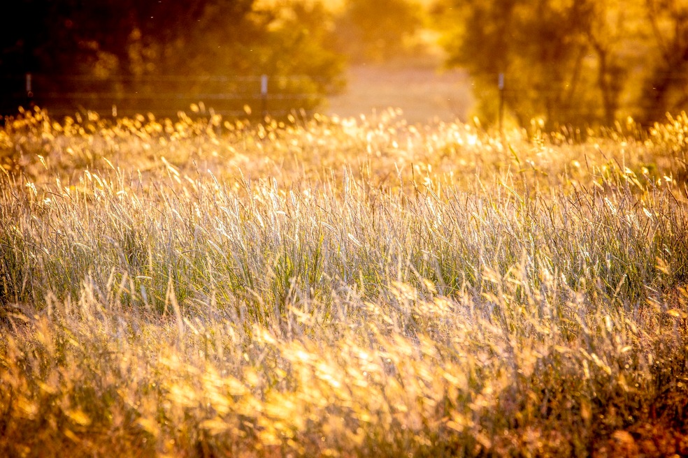 15965 Fm 107, Moody, TX 76557 - photo 1