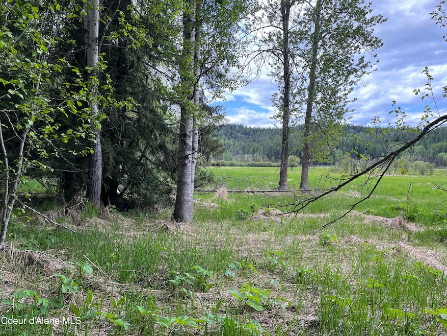 NNA High Meadow Dr, Priest River, ID 83856 - photo 1