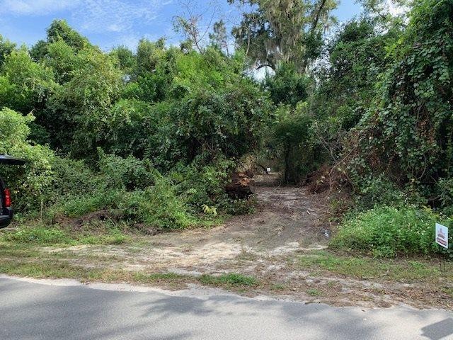 29 Bream Fountain Rd, Crawfordville, FL 32327 - photo 1