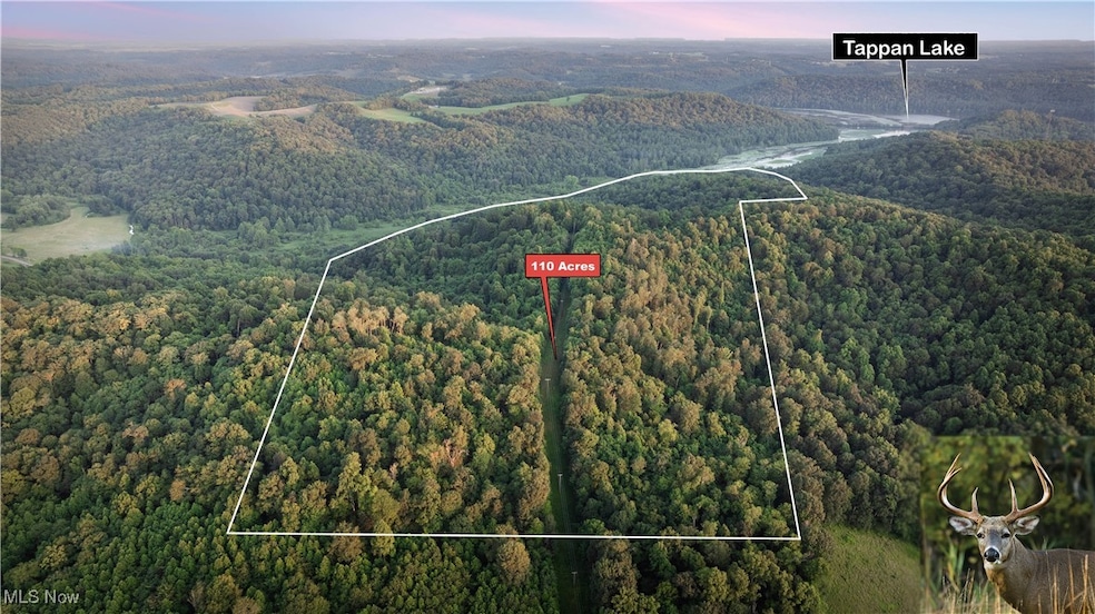 36900 Lower Clearfork Rd, Cadiz, OH 43907 - photo 1