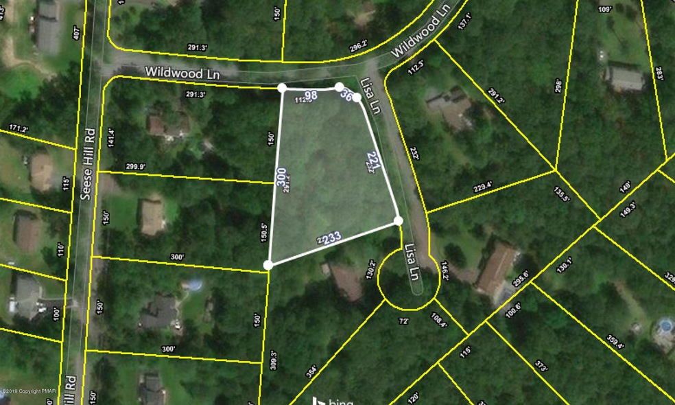 511 Lisa Ln, Barrett Township, PA 18325 - photo 1